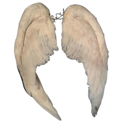 castiel & la'el (oc)